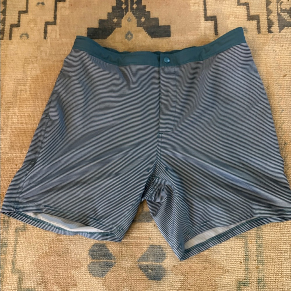 Genteal Striped Blue and Green lined swim shorts